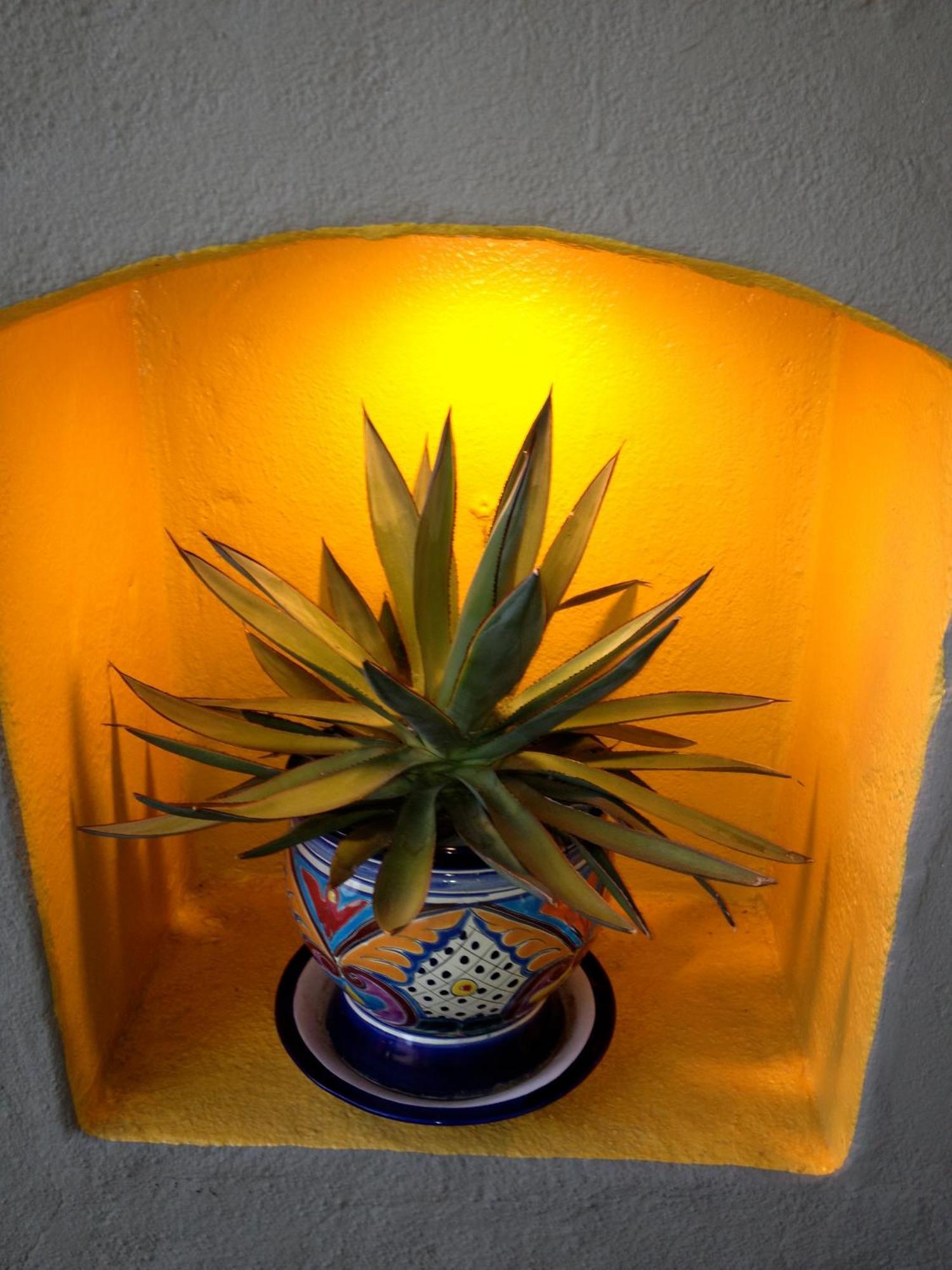 Agave Inn Santa Barbara Exteriér fotografie